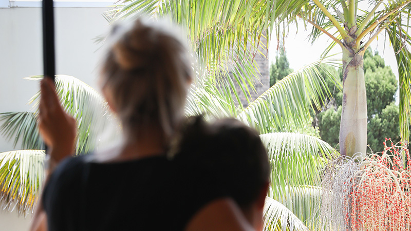 blurred heads looking at palm trees