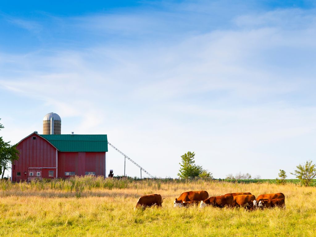 Everything You Need to Know About Farm Insurance